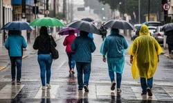 Uruguaiana chega a 42 casos confirmados de dengue neste ano