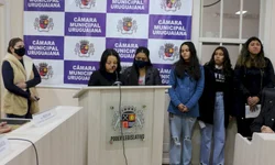 Programa Educar para a Cidadania é apresentado na Câmara