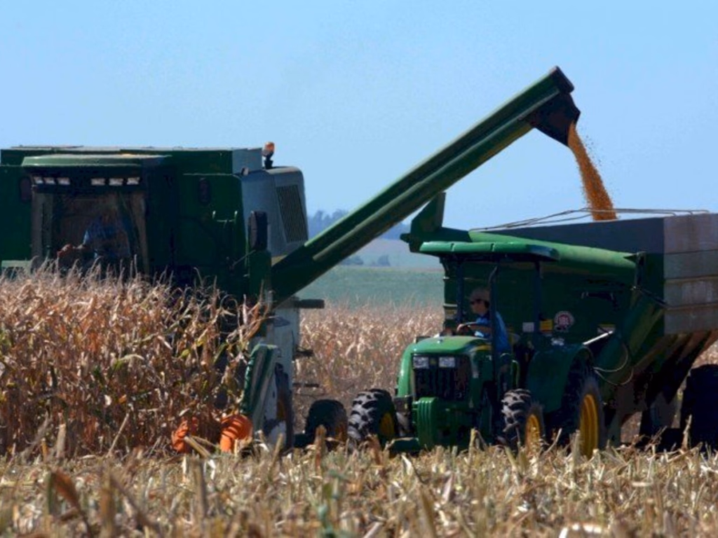 Emater/RS-Ascar estima segunda maior safra da história