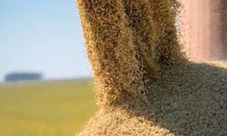 Começa Expo FICCC 2023, em Buenos Aires