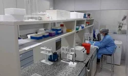 Inscrições para capacitação serão até sexta-feira