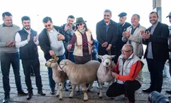 Belle Porcelana e Guanabara Saladero são Freio de Ouro