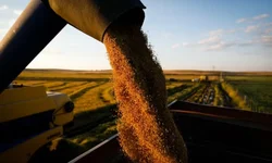 Federação debate crise do arroz com governo federal