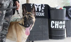 Imagens de fetos nas redes sociais choca população