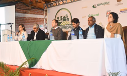 Exportações de arroz em 2018 já superam o total de 2017