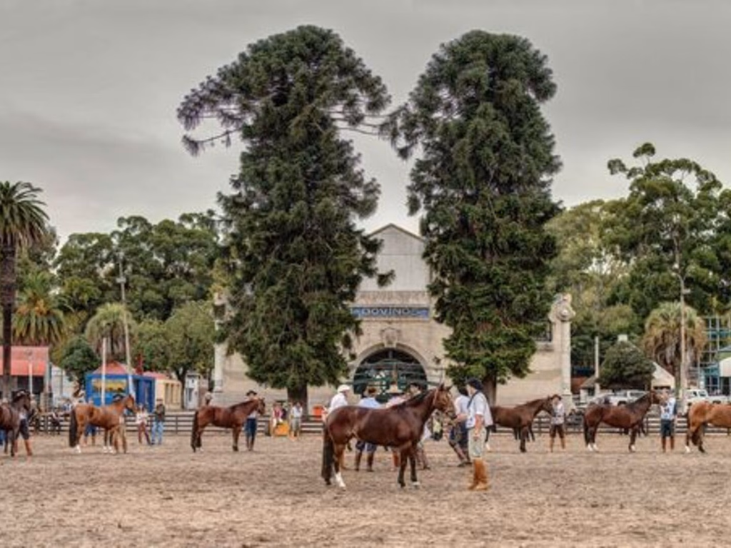 Qualidade uruguaia entra em pista no Freio de Ouro