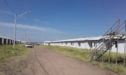 Eleitor já pode pedir autorização para votar em trânsito