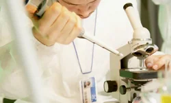 Unipampa realizada quatro dias de mobilização contra cortes na Educação