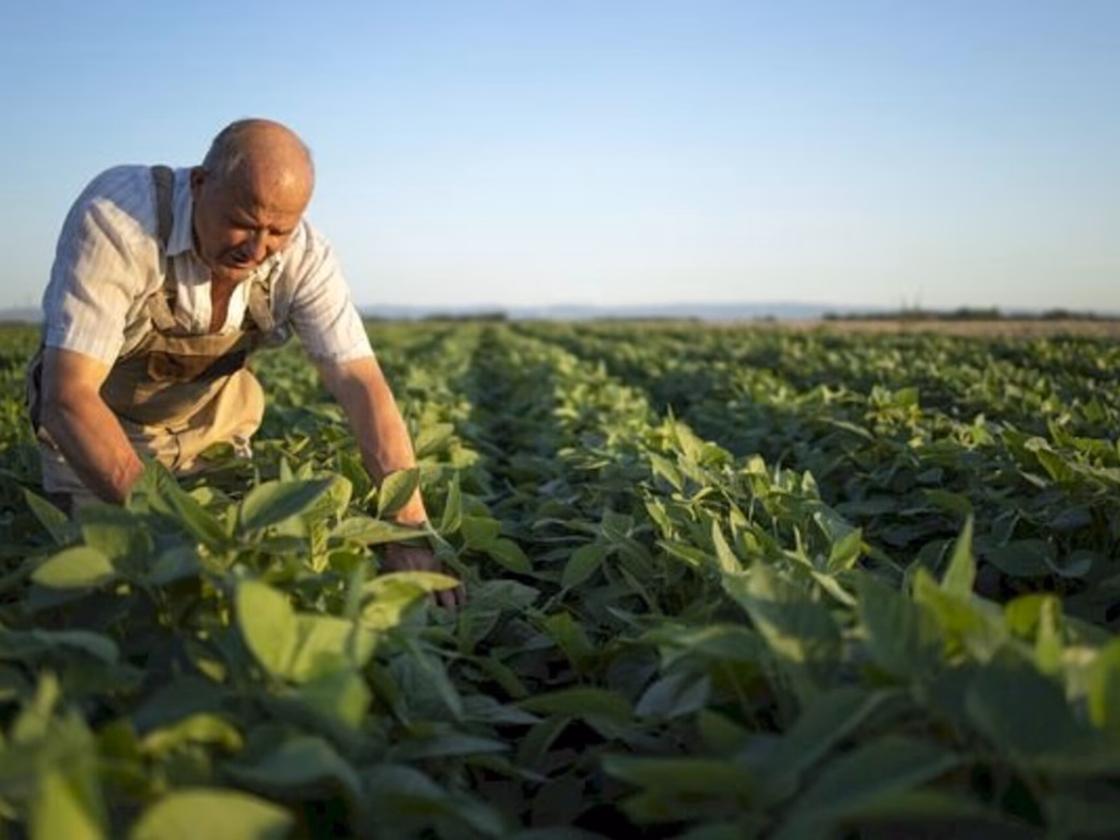 Seguro rural atinge recorde de mais de 217 mil apólices contratadas em 2021