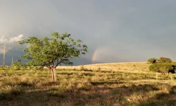 Expediente bancário tem alterações neste final de ano