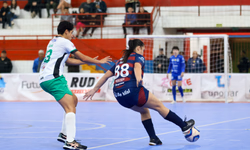 Belle Reserva vence a Morfologia do Cavalo Crioulo