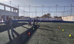 Cientistas querem criar embriões sintéticos para doar órgãos