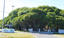 Eleição para diretores acontece nesta terça-feira