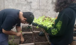 Município chega a 30 casos de dengue