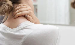 Rotas de Integração Sul-Americana em debate em Brasília