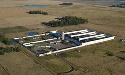 Mulher é esfaqueada pela companheira do ex-namorado