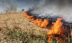 Pelotão do 6º BPChoque irá para Brasília