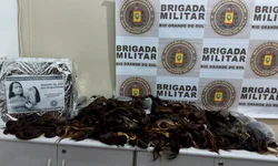 Semana Gerações realiza atividades culturais no município