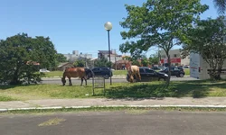 Pelotão do 6º BPChoque irá para Brasília