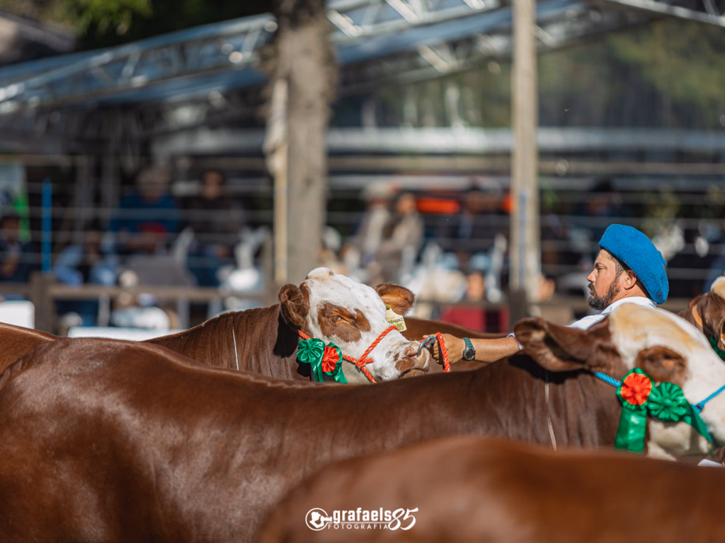 Divulgada programação dos julgamentos de admissão e classificação da Nacional