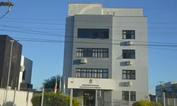 Profissionais esclarecem dúvidas sobre castração de animais