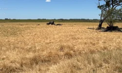 Audiência pública debaterá fechamento de escola