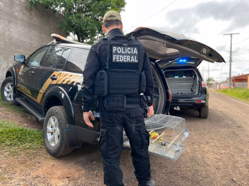 Operação da PF combate tráfico de pássaros na Fronteira Oeste