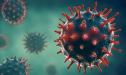 Uruguaiana chegou a 9 324 casos de covid-19