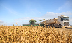 Promebo e Sebrae subsidiarão testes de genômica e ultrassonografia de carcaça