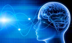 ‘CER com você, professor!’ começa temporada de 2021 nesta segunda-feira