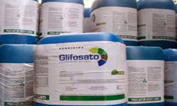 Preços da carne caem em janeiro