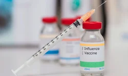 Uruguaiana tem mais de 12 mil recuperados