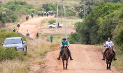 Uruguai seleciona os melhores exemplares para o Freio de Ouro