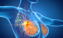 OMS declara o fim da pandemia de covid-19