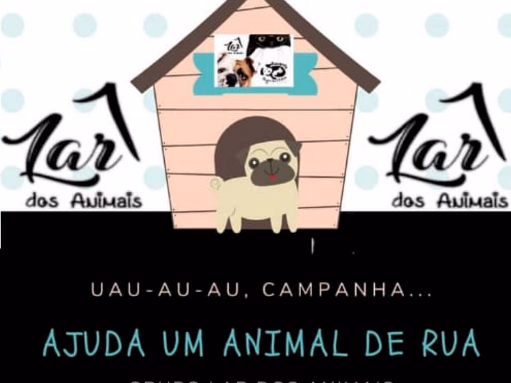 Projeto arrecada doações para construção de abrigos para animais de rua