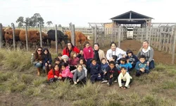 Alunos da Escola Getúlio Vargas recebem palestras educativas sobre trânsito