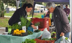 Mais quadras esportivas estão sendo revitalizadas