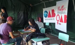 Projeto já distribuiu mais de 100 casas volantes