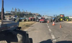 Lafron e Laminf facilitam o diagnóstico de infecções na Fronteira Oeste