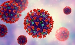 Município confirma 146 novos casos e quatro mortes