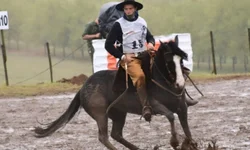 Inscrições abertas para a Morfologia Passaporte Outonal de Esteio