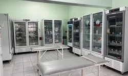 Substituir a medicação por genérico ou similar é seguro?