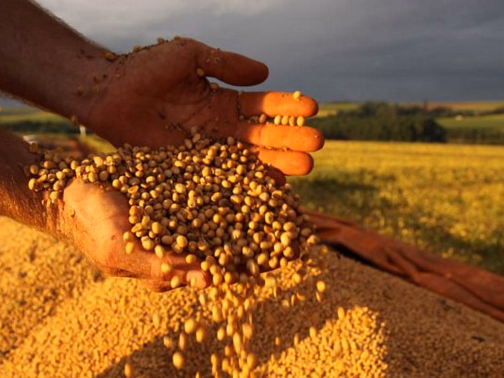 Custo de produção aumentou 3,68%