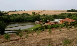 Fetag-RS lança aplicativo para mapear perdas