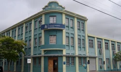 Professora Marisele lança livro voltado à alfabetização