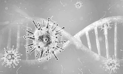 Pesquisadores descobrem gene ‘protetor’ da Covid