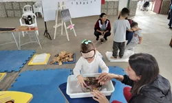 Feira de Ciências Universidade-Comunidade ocorre neste sábado