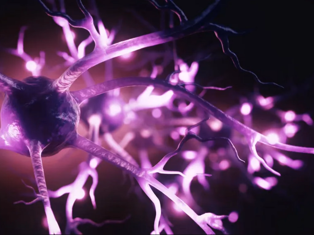 Remédio que atrasa avanço do Alzheimer é aprovado