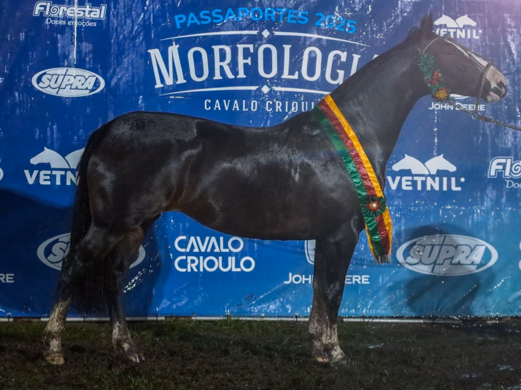 Basco Inocêncio é o Melhor Exemplar do Passaporte em Uruguaiana