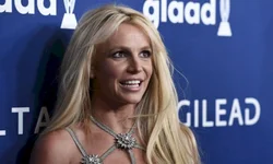 Sebrae RS lança página para esclarecer dúvidas sobre linhas de crédito